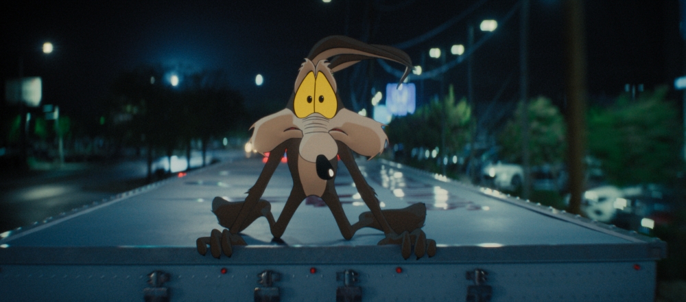 Coyote vs. Acme [c/o Ketchup Entertainment]