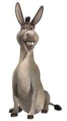 Donkey shrek