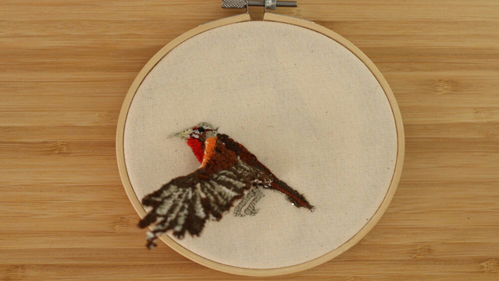 Embroidered Body