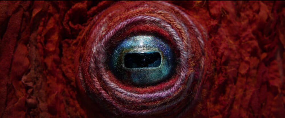 Octopus! [Prime Video]