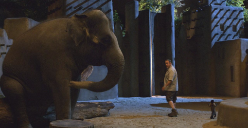 Zookeeper 7