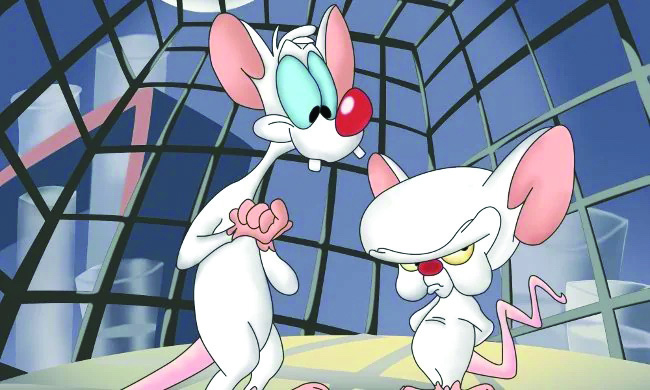 Pinky and the Brain