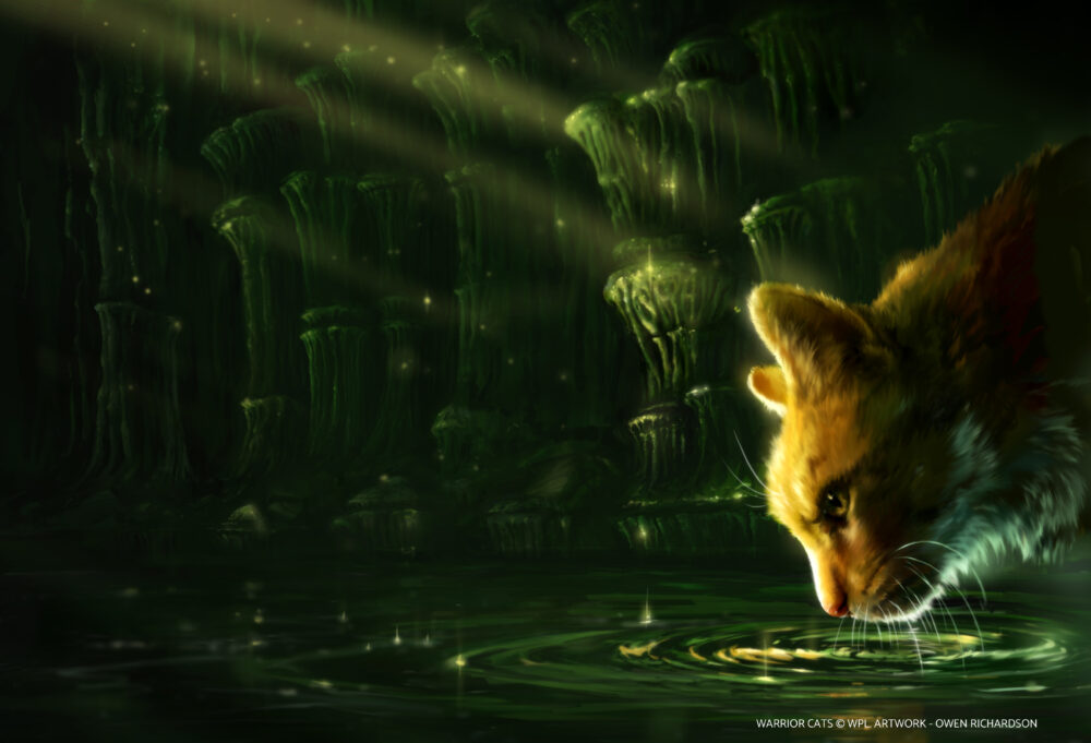 Warrior Cats