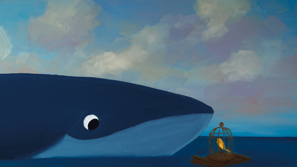 Bird and the Whale
