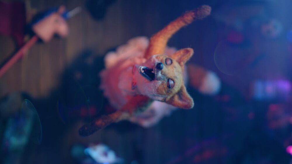 dragfox