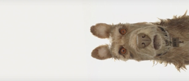 Isle of Dogs