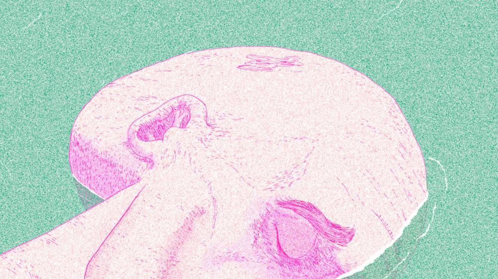 The Man and the Head by Nilas Røpke Driessen, one of the films in competition at FAF 2020.