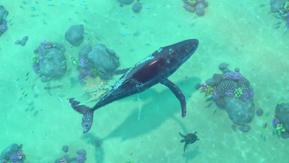 The Snail and the Whale