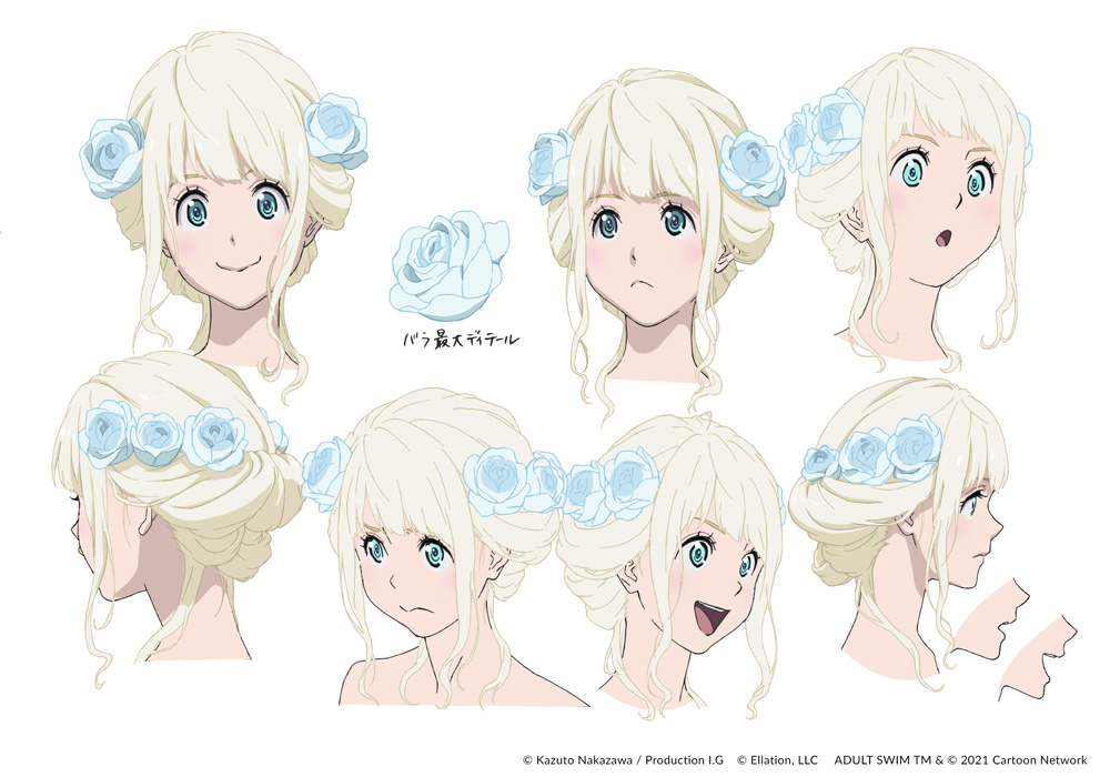 Fena expression sheet